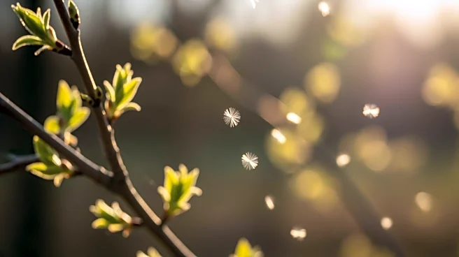 Longer Allergy Season Impacts U.S. Regions