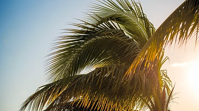 Breezy Conditions Expected in South Florida as Daylight Saving Time Begins