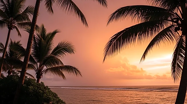 Warm and Breezy Weather in South Florida with Increasing Rain Chances
