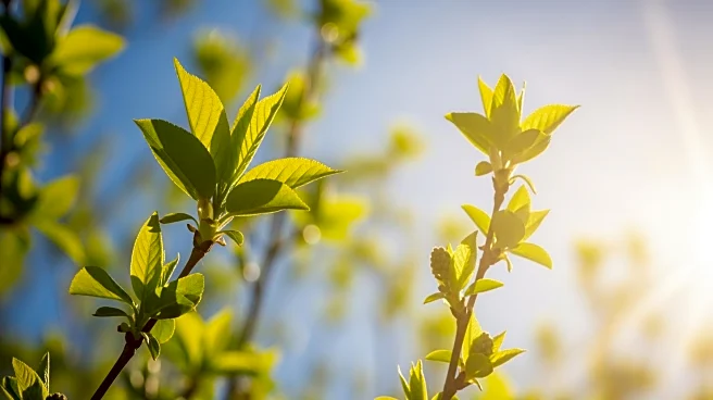 Sudden Spring Warmth to Sweep Across Central and Eastern U.S.