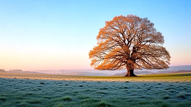 Ireland Experiences Sixth Consecutive Season of Above Average Winter Temperatures