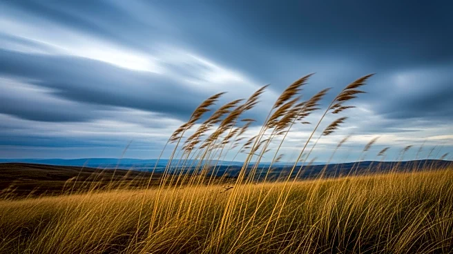 California Faces Windy Conditions as Cold Front Moves In