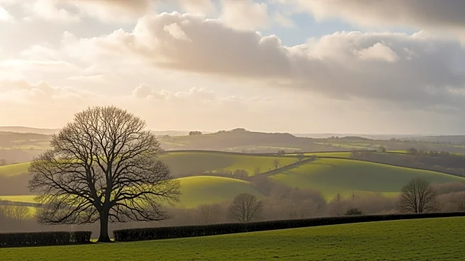 Ireland Experiences Mild Winter with Above Average Temperatures