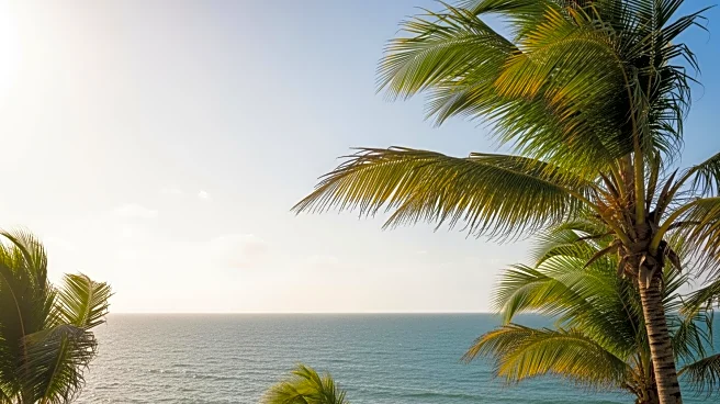 Warm and Breezy Weather Continues in South Florida