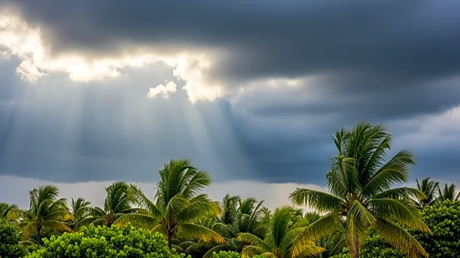 Increased Rainfall Expected in South Florida Amid Warm, Breezy Conditions
