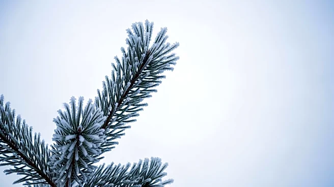 Bitter Cold Snaps Expected in Montana