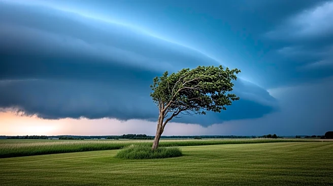 Georgia's Tornado Season Begins: What to Expect