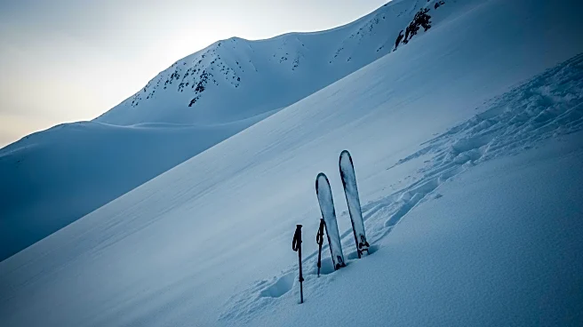 Avalanche Claims Skier's Life in Colorado's Boss Basin