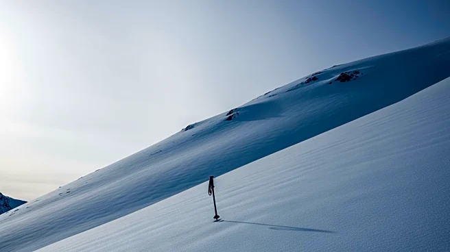 Avalanche Claims Skier's Life in Boss Basin, Colorado