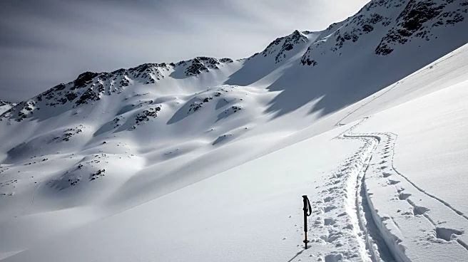 Avalanche Claims Life of Skier in Colorado's Boss Basin