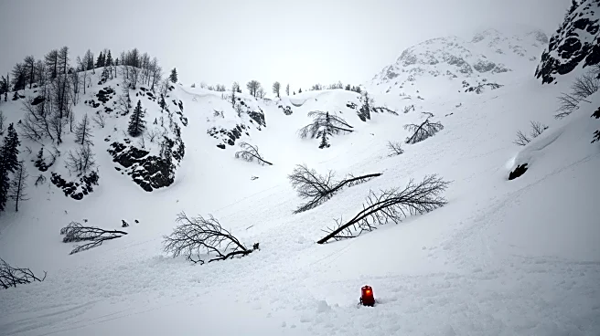 Avalanche Tragedy in East Idaho: Fatalities and Rescues