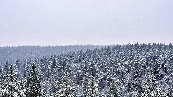 Snow Expected in Central Minnesota and Northern Wisconsin