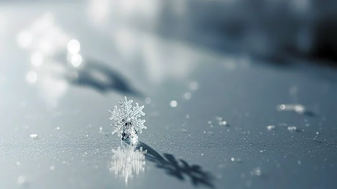 Chicago's Seasonal Snowfall: 2025-26 Compared to Previous Years