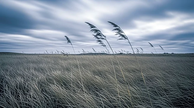 Wind Alerts Issued Across Minnesota with Gusts Up to 50 mph