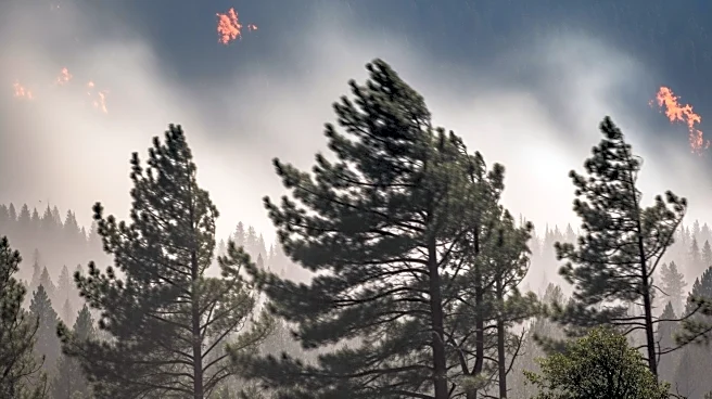 Extreme Winds Challenge Firefighting Efforts in Northern Colorado