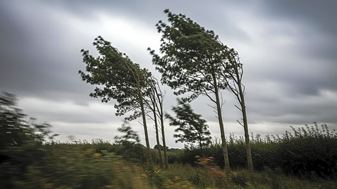 Wind Advisory Issued for Grove City, PA: Gusts Up to 50 mph Expected