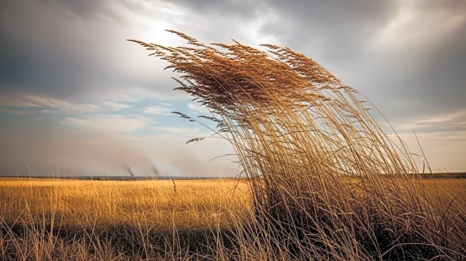 Strong Winds Elevate Fire Risk in Denver and Eastern Colorado