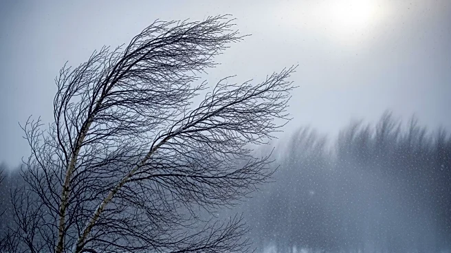 Detroit to Experience Windy Conditions and Snow on Friday