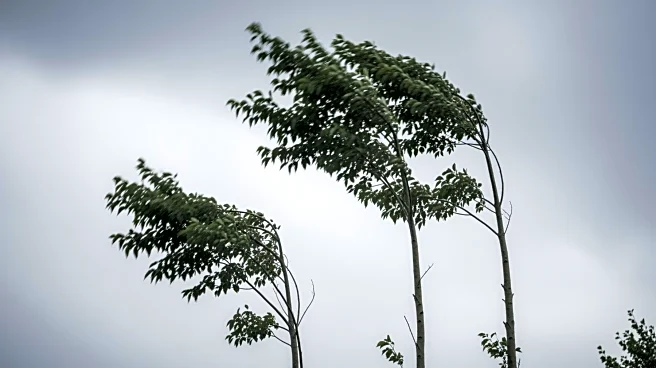 Windy Conditions Expected in Maryland This Weekend