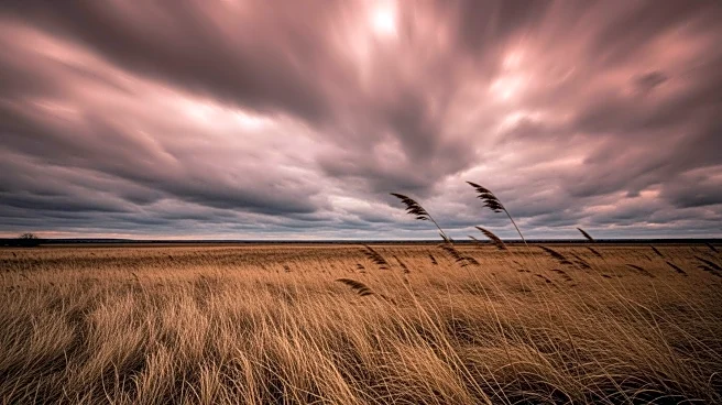 Red Flag and High Wind Warnings Issued Across Midwest