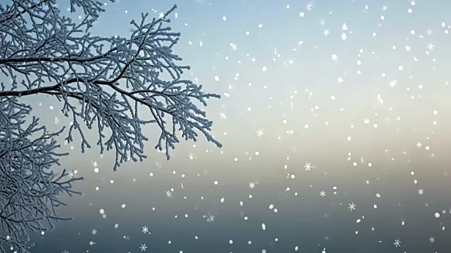 Cold Front Brings Snow and Plunging Temperatures to DC Region