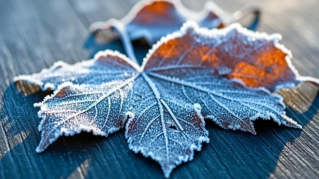 Pittsburgh Weather Update: Chilly Conditions Expected