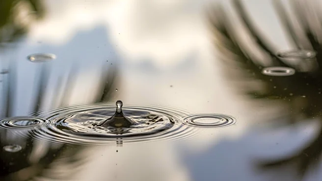 Heavy Rain Triggers Flooding Concerns in South Florida