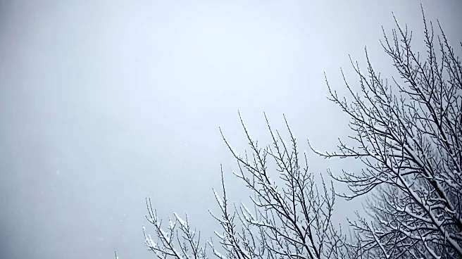 Southeast Michigan Faces Morning Snow and Strong Afternoon Winds