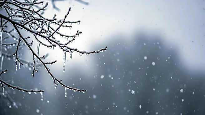 Tri-State Area Faces Chilly Weather with Rain and Snow Showers