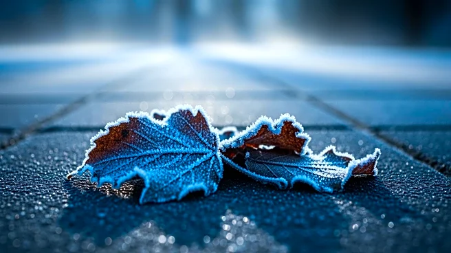 Pittsburgh Weather Update: Chilly Conditions on March 13