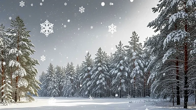 Winter Storm Approaches Minnesota with Heavy Snowfall Expected