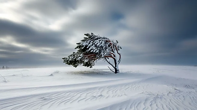 Blizzard Evelyn Brings High Winds and Snow to Grand Forks