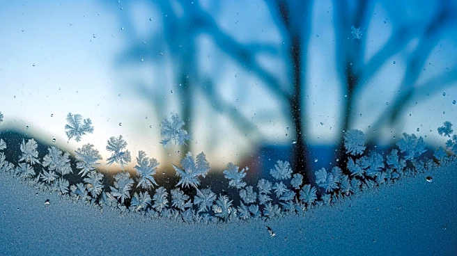 Cold Weather Persists in New York City