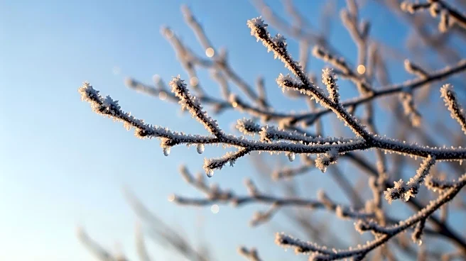 Pittsburgh Weather: Cold Temperatures Persist