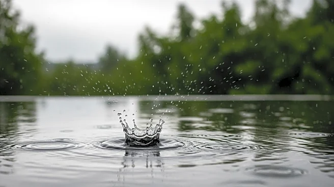 Heavy Rainfall Recorded in Chitwan, Gorkha, Udayapur Districts