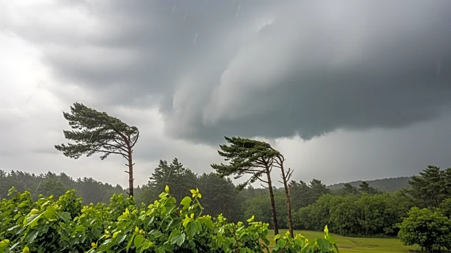 North Carolina Weather Forecast: Rain and Wind Expected