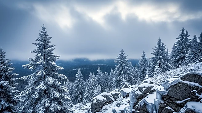 Adirondacks Weather Alert: Late Winter Conditions Persist