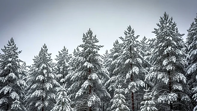 Minnesota Braces for Weekend Winter Storm Impact