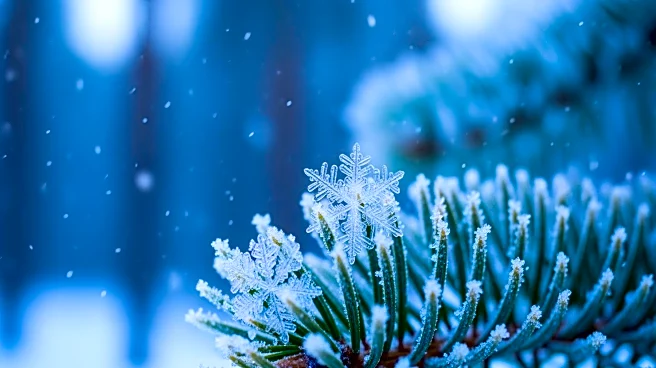 Winter Storm Watch Issued for Southeast Wisconsin Ahead of Snowstorm