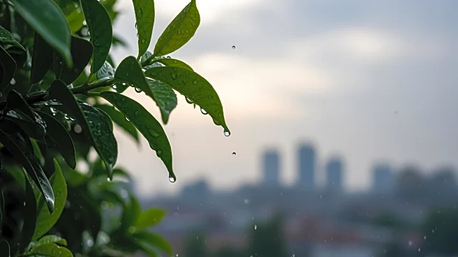 Delhi Weather Update: Drizzle Expected to Bring Relief as Temperature Drops Below 30Â°C