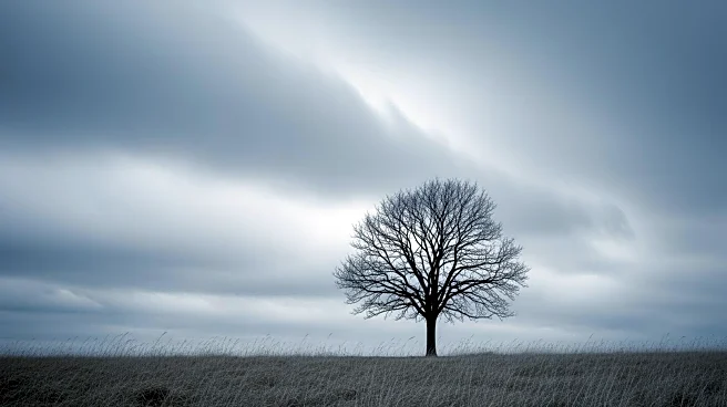 Chatham Experiences Dreary Weather with Cold Winds