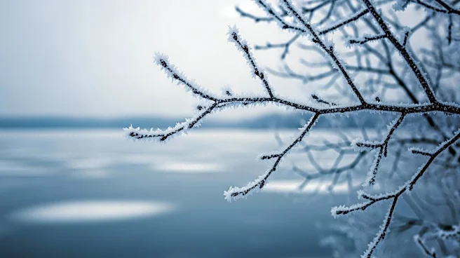 Chicago Faces Lake-Effect Chills as Winter Weather Persists