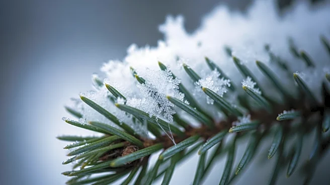 Denver Faces Heavy Snowfall as Winter Storm Approaches