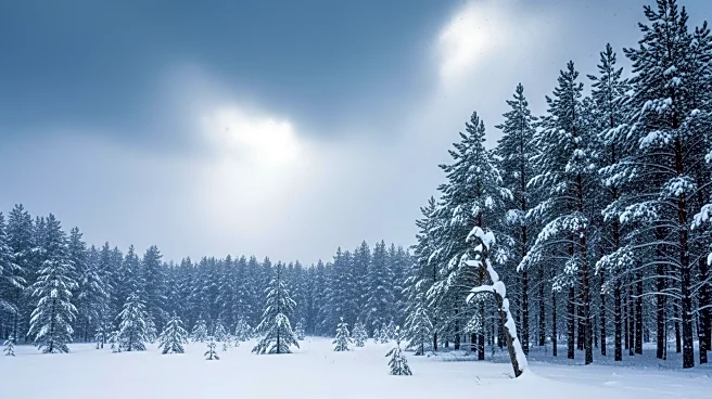 Minnesota Braces for Continued Snowfall After Initial Winter Storm