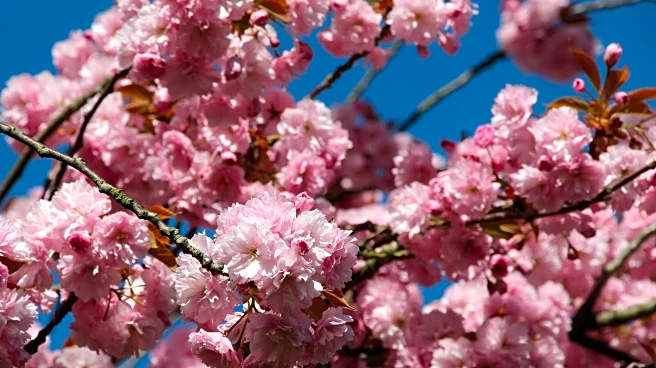 A Major Weather Shift Is Coming This Spring Across the US