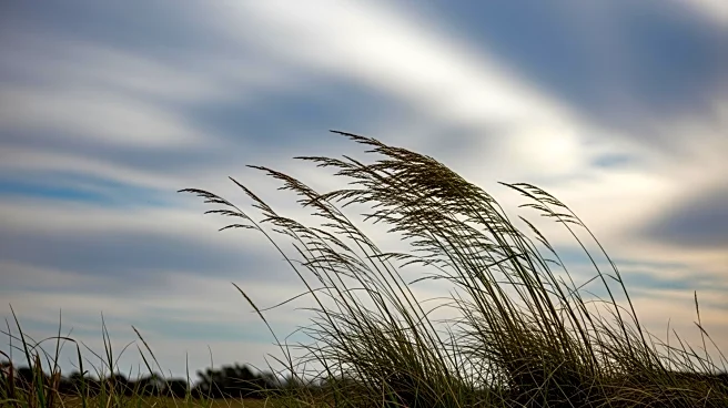 Wind Advisory in Effect for Joplin, MO: Gusts Up to 45 mph Expected
