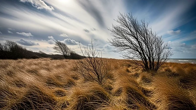 High Wind Watch Issued for Eastern Massachusetts and Rhode Island
