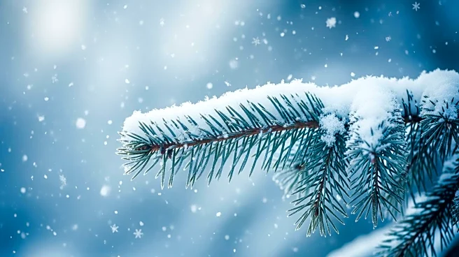 Twin Cities Braces for 6 to 10 Inches of Snowfall