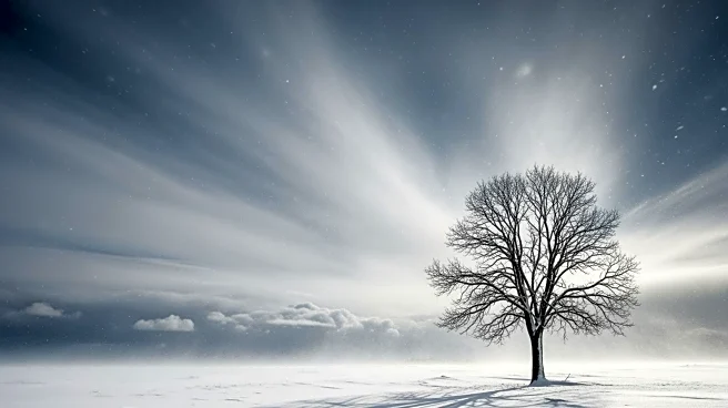 Midwest Faces Blizzard 'Bomb' and Severe Weather Threat