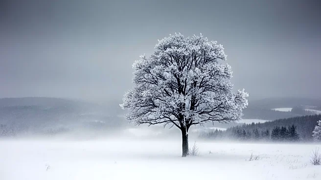 Midwest Faces Blizzard as East Coast Prepares for Storm Impact